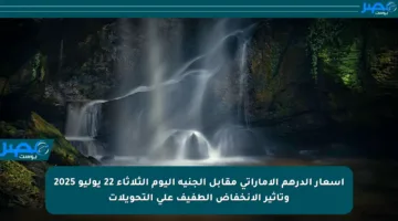 أسعار الدرهم الإماراتي مقابل الجنيه اليوم الثلاثاء 22 يوليو 2025 وتأثير الانخفاض الطفيف على التحويلات